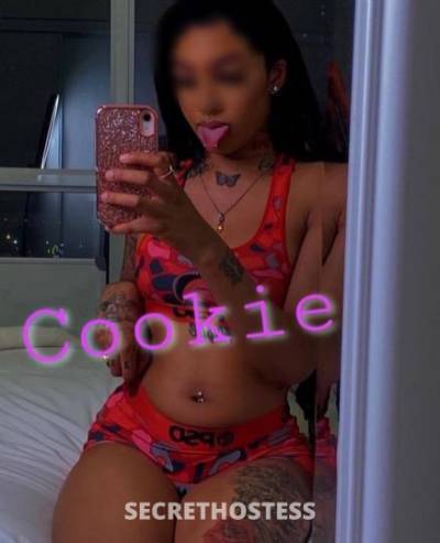 22Yrs Old Escort Raleigh NC Image - 2