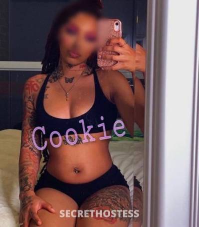 22Yrs Old Escort Raleigh NC Image - 3