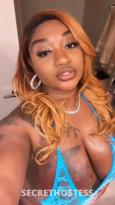 26Yrs Old Escort Wilmington NC Image - 1