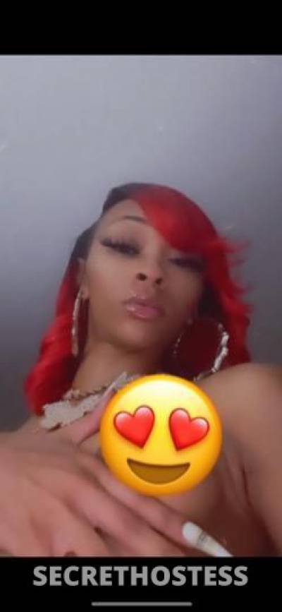 23Yrs Old Escort Bronx NY Image - 2