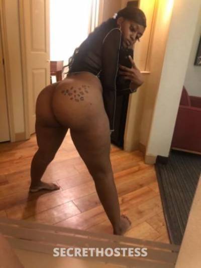 26Yrs Old Escort Bronx NY Image - 0