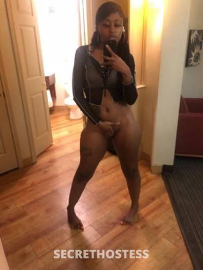 26Yrs Old Escort Bronx NY Image - 2