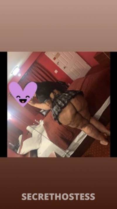 27Yrs Old Escort Bronx NY Image - 0