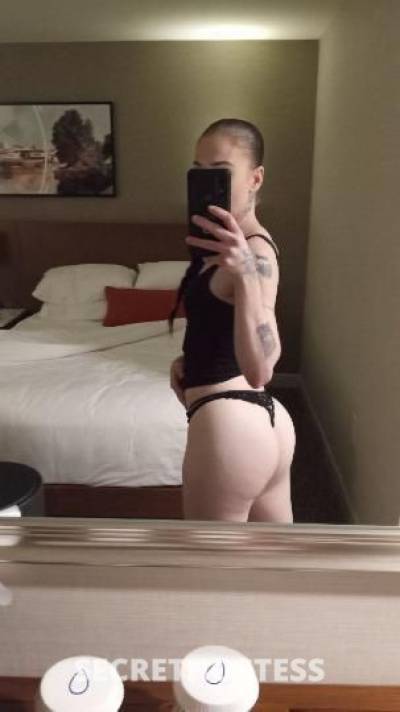 34Yrs Old Escort South Jersey NJ Image - 1