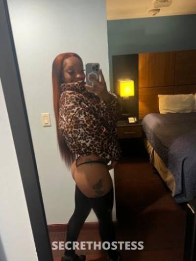 Alexis 25Yrs Old Escort Brooklyn NY Image - 3