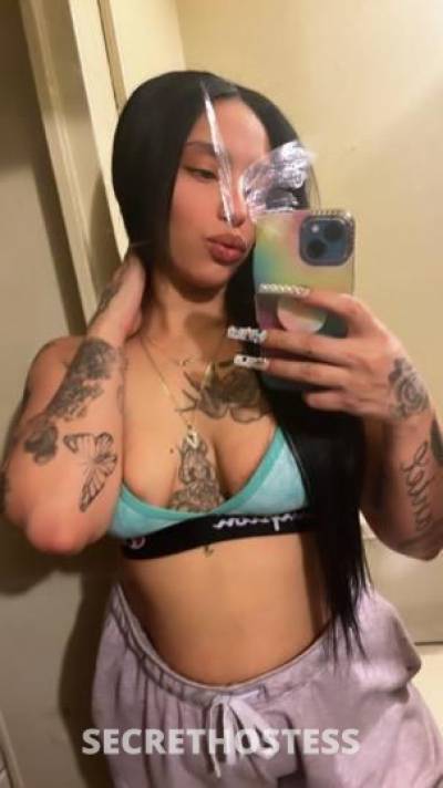 Kitty 25Yrs Old Escort Bronx NY Image - 2