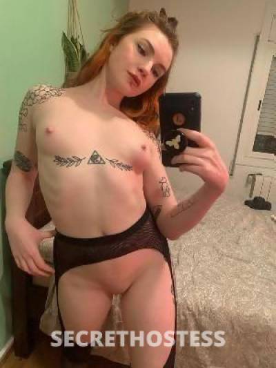 24Yrs Old Escort Minneapolis MN Image - 2