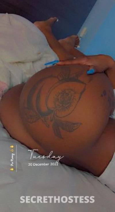 26Yrs Old Escort Biloxi MS Image - 2