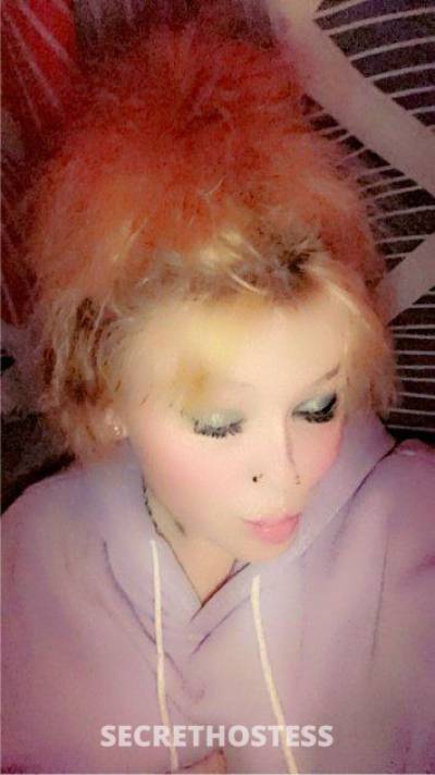 28 year old Escort in Louisville KY I'm available for hookup incall and outcall