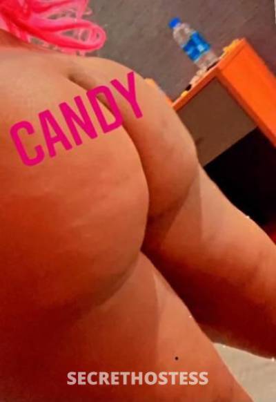 Candy 28Yrs Old Escort Detroit MI Image - 2