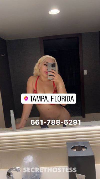 22Yrs Old Escort 154CM Tall Tampa FL Image - 5