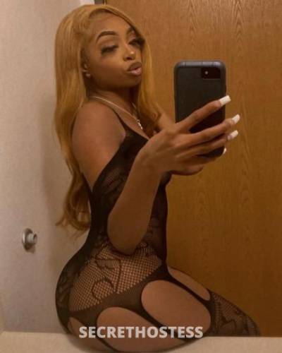 24Yrs Old Escort Shreveport LA Image - 0