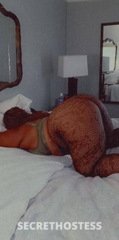 24Yrs Old Escort Detroit MI Image - 2