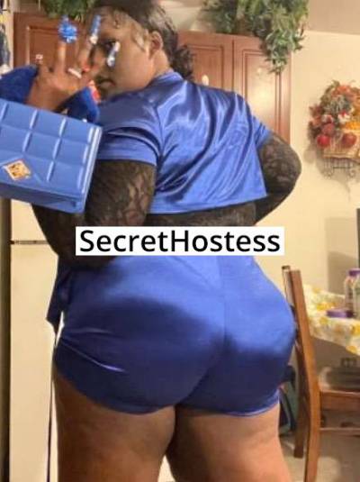 30Yrs Old Escort 162CM Tall Chicago IL Image - 2