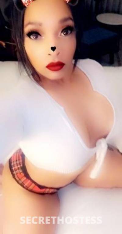 25 year old Brazilian Escort in Baton Rouge LA Bella The Exotic Louisiana Brazillian Goddess Available now
