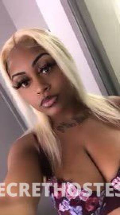 21Yrs Old Escort Jacksonville FL Image - 0