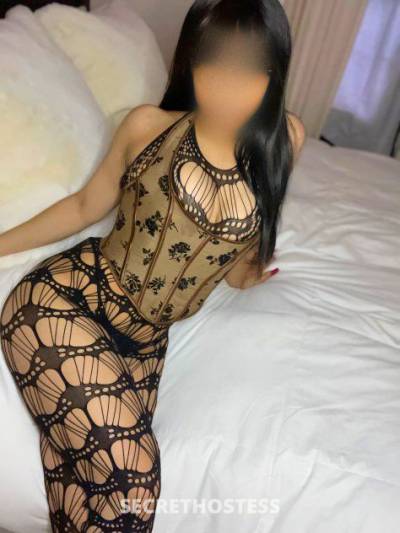 Your dream girl for the night in Tampa FL