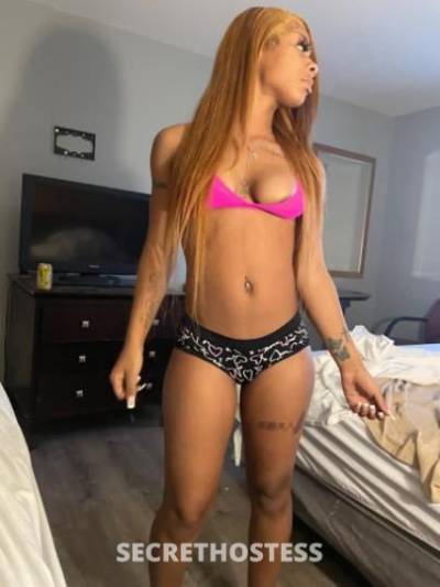 20Yrs Old Escort Chicago IL Image - 0