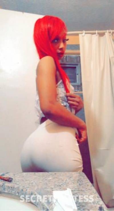 21Yrs Old Escort Chicago IL Image - 0