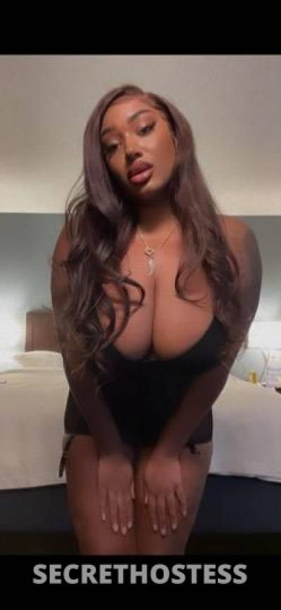 24 Year Old American Escort Las Vegas NV Brown Hair - Image 3