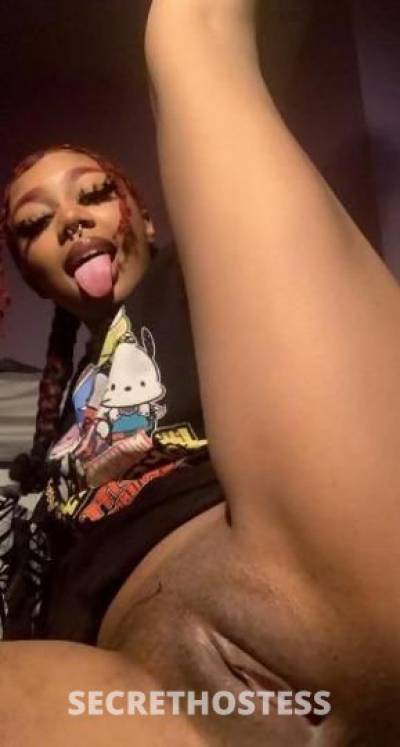 Ashley 25Yrs Old Escort Ft Wayne IN Image - 2