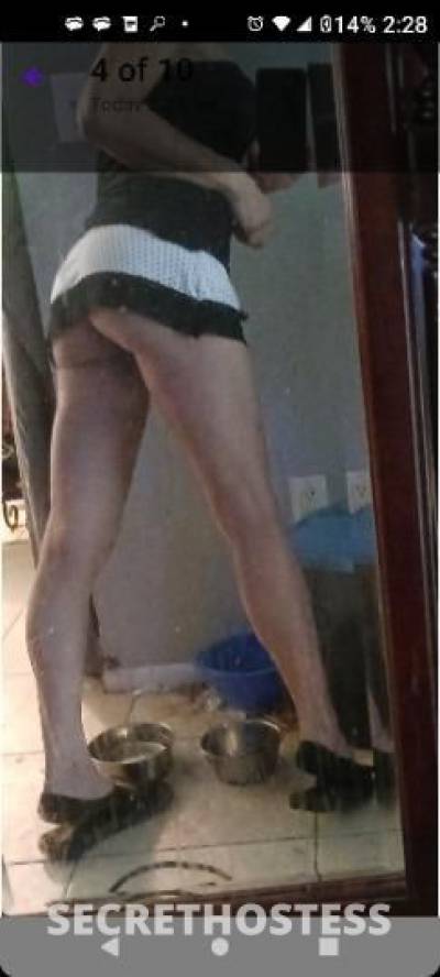 Tina 51Yrs Old Escort Treasure Coast FL Image - 3