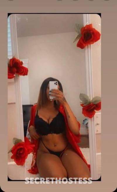 24 Year Old Escort Tampa FL - Image 2