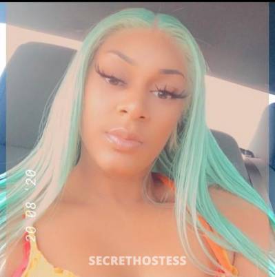 25Yrs Old Escort Tampa FL Image - 2