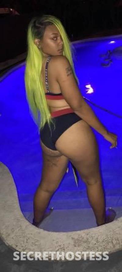 25Yrs Old Escort Tampa FL Image - 3