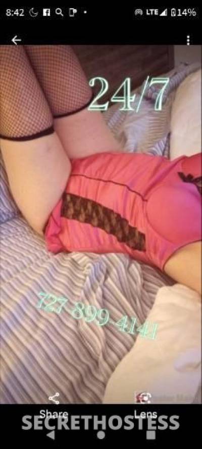 39Yrs Old Escort Tampa FL Image - 3