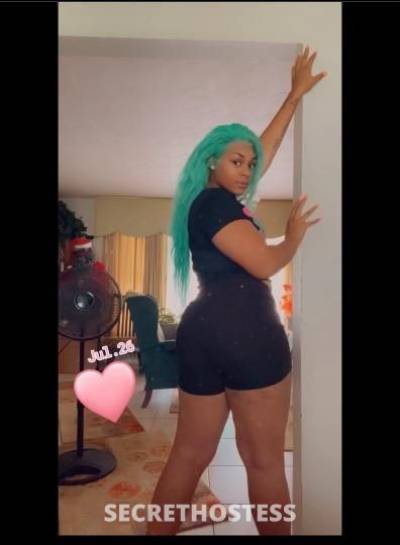 25Yrs Old Escort Tampa FL Image - 2