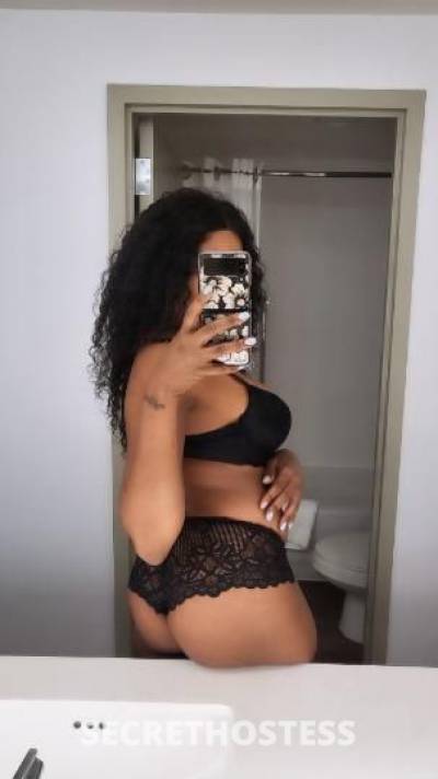 26Yrs Old Escort Sarasota FL Image - 2