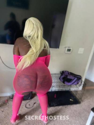 29 year old African Escort in Washington DC 150 head fuck outcalls only i respond to text