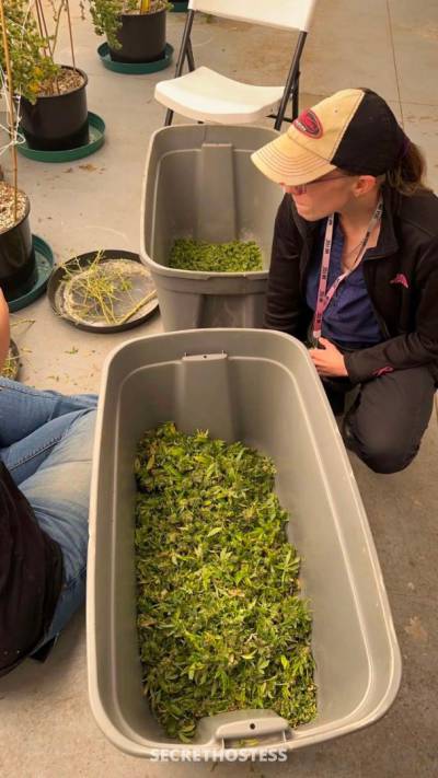 Rosemary 26Yrs Old Escort 167CM Tall Niagara on the Lake Image - 6