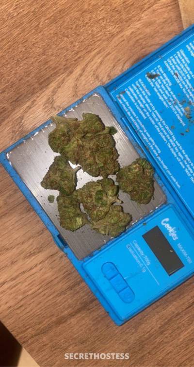 Rosemary 26Yrs Old Escort 167CM Tall Niagara on the Lake Image - 7