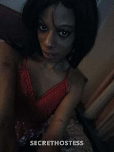 24Yrs Old Escort Milwaukee WI Image - 3