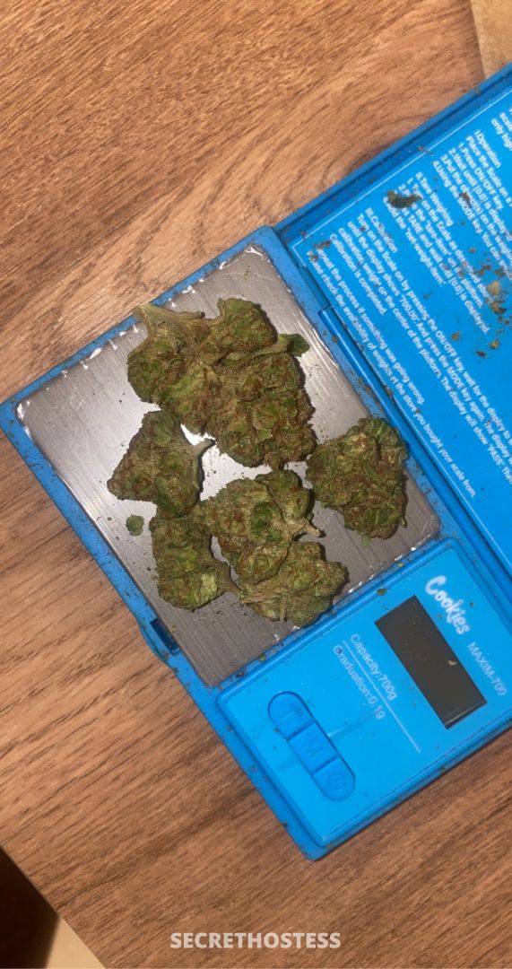 Rosemary 26Yrs Old Escort Size 6 167CM Tall Skeena Image - 2