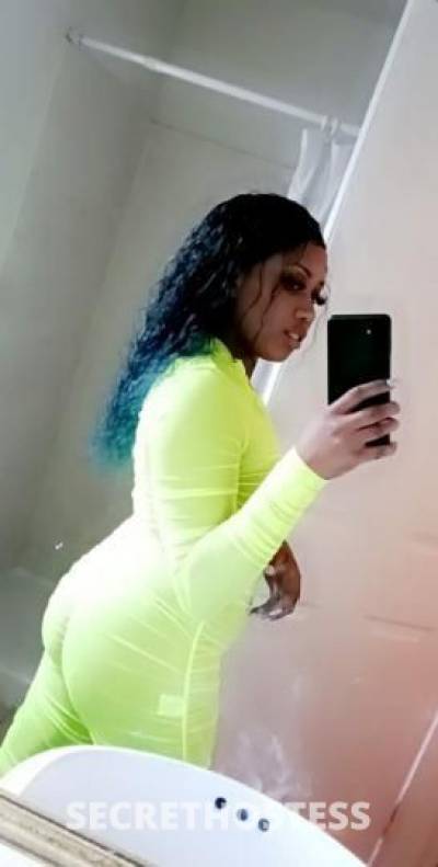21Yrs Old Escort San Jose CA Image - 1