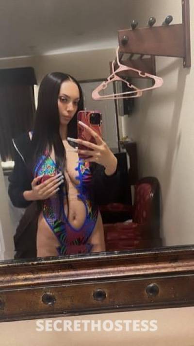 21 year old Italian Escort in San Diego CA Sweet juicy sunshine outcalls only