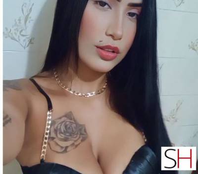 20 Year Old Latino Escort Colatina - Image 2