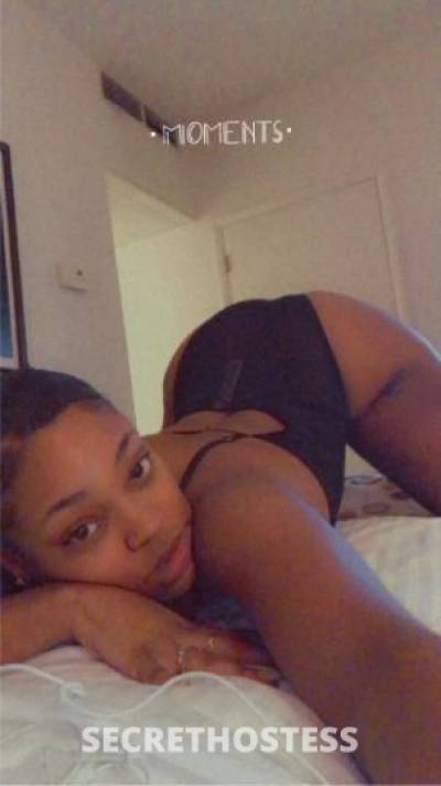 24 Year Old Dominican Escort San Diego CA - Image 4