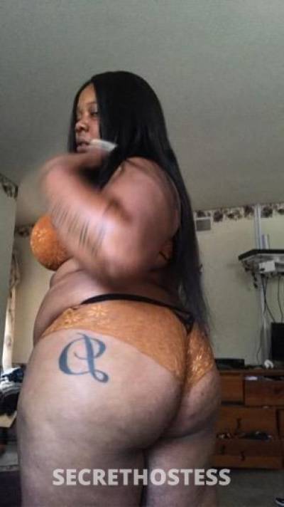 25 year old Escort in San Diego CA Honey is back
