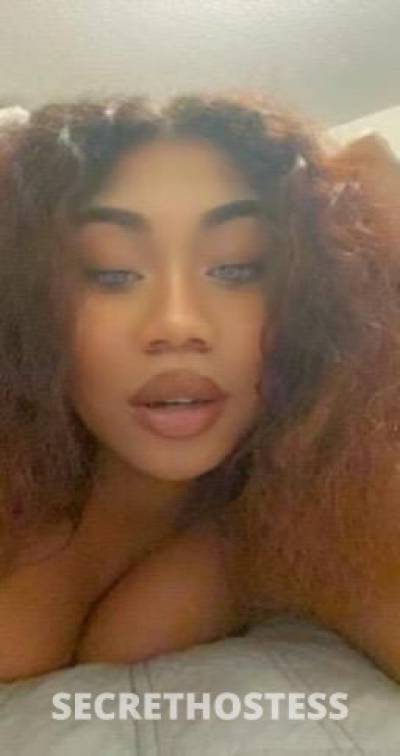 26 year old Escort in San Diego CA SEXY HOT GIRL DOGGY STYLE SPECIALS BBJ incall outcall car 