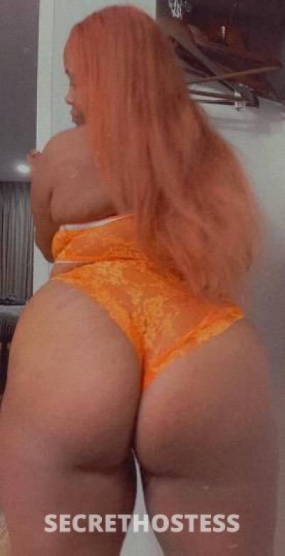 27Yrs Old Escort San Diego CA Image - 2