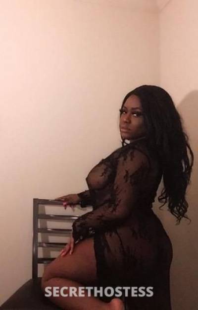 Lulu 28Yrs Old Escort Oakland CA Image - 2