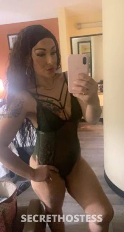 29Yrs Old Escort 165CM Tall Sarasota FL Image - 4