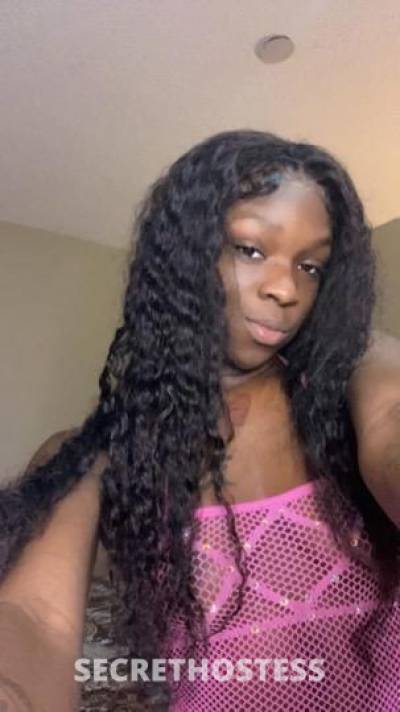 25Yrs Old Escort Orlando FL Image - 1