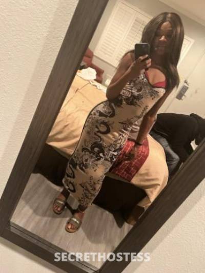 23Yrs Old Escort Oakland CA Image - 2