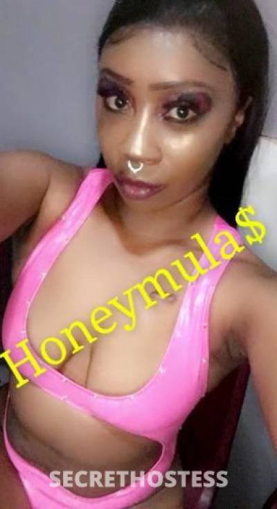 23Yrs Old Escort Sacramento CA Image - 2