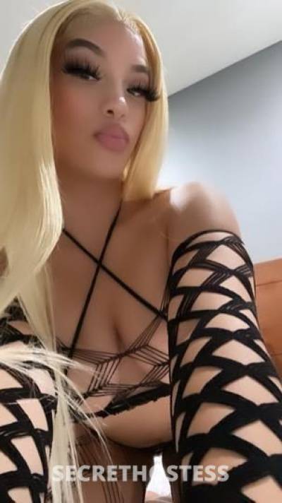 21Yrs Old Escort Los Angeles CA Image - 1